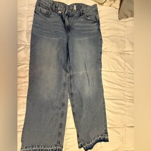 H&M Wide Blue Denim Pants